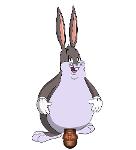 Big Chungus' Bunch of Fuckos Logo