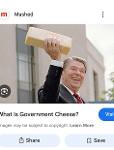Government Cheeze Logo