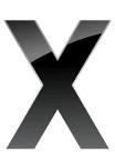 Big X Logo