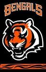 Bengals Logo