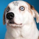 They're good players, Trina Logo