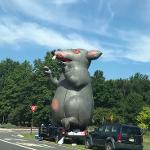 Playnottolose's Team Logo