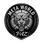 MetaWorldPaz's Team Logo
