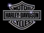 Harley Steel Logo