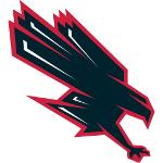 dirty birds Logo