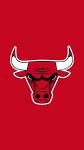 Chicago Bulls Logo
