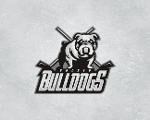 Winnipeg Bulldogs Logo