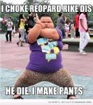 Show Me Your TDs Logo