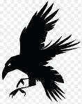 Nuuk Ravens Logo