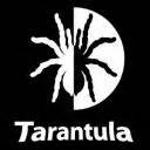Terlingua Tarantulas Logo