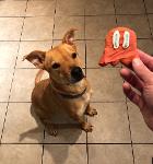 NoTDsNate's Team Logo