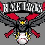 blackhawks Logo