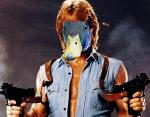 Duck Norris Logo