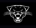 Sex Panthers Logo