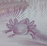 Aztlán Axolotes Logo