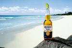 Corona Logo