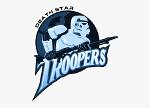 Death Star Troopers Logo