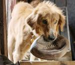 all sleepers go to heaven Logo