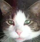 Talkthetalk,,,Walkthewalk Logo