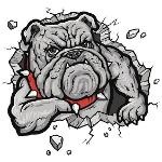 BULL  DOG Logo