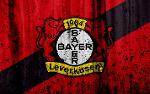 Bayer Leverkusen Logo