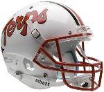 Dynasty 2020 Terrapins Logo