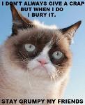 Grumpy Cats Logo