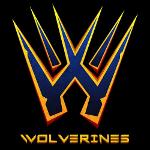 Wolverines Logo