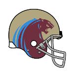 Michigan Panthers Logo