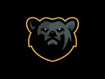 The Bears Logo