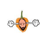 Saucy Winners Circle Logo