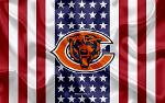 American Bears Logo