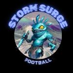 Storm Surge Logo