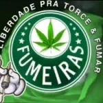 Lebronha Fumeirense Logo