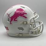 Pink Lions Logo