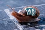 Onkel_Larry's Snails 🏈 Logo