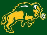 Bison Logo