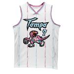 Tampa Raptors Logo