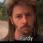 Purdy Fly For a White Guy Logo