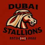 Dubai Stallions ⭐️- OUT Logo