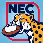New England Cheetah 2.0 Logo