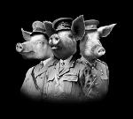 War Pigs 🐷 Logo