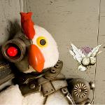 Chicken Fly Lice Logo