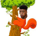 Barkley up the wrong tree Logo