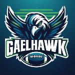 CalamarHawks Logo