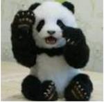 El oso binguero Logo