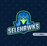 Selehawks 🏆🏆 Logo