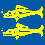 Blue Barracudas Logo