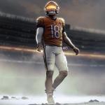 Da Bear Necessities Logo