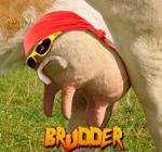 Spoiled_Titty_Milk 🥛🥛 Logo